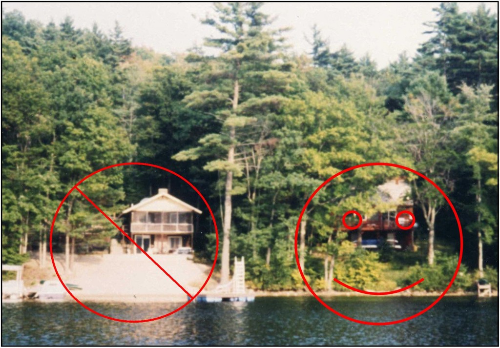 Property and Shoreline Management Watchic Lake Association