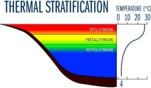 Thermal Stratification