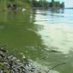 Property Owners on Hook for Lake Champlain Cleanup
