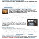 August 2017 Newsletter Available