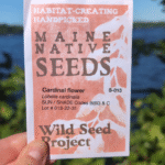 Native Seed Sowing Workshop – October 11