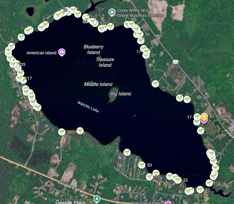 Yellow iris occurrence Sep 2025